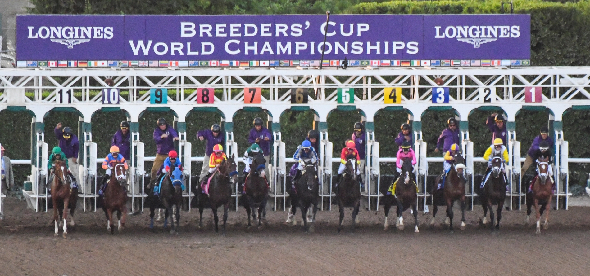 2019 Breeders Cup Classic Race Sequence Features BloodHorse