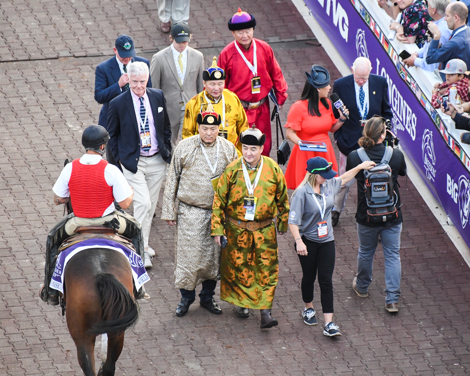 Mongolian Groom Horse Profile BloodHorse