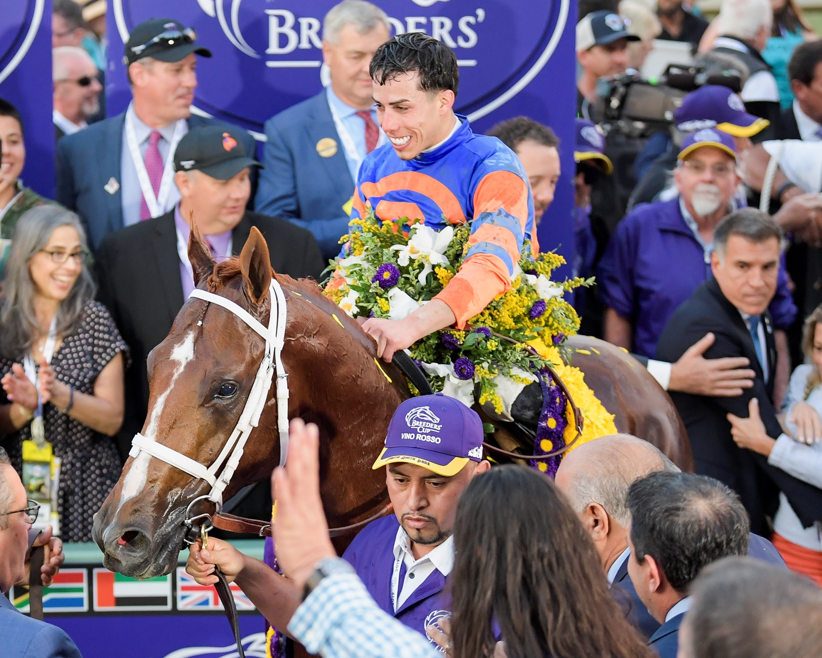 Week in Photos 11 5 2019 Slideshow BloodHorse