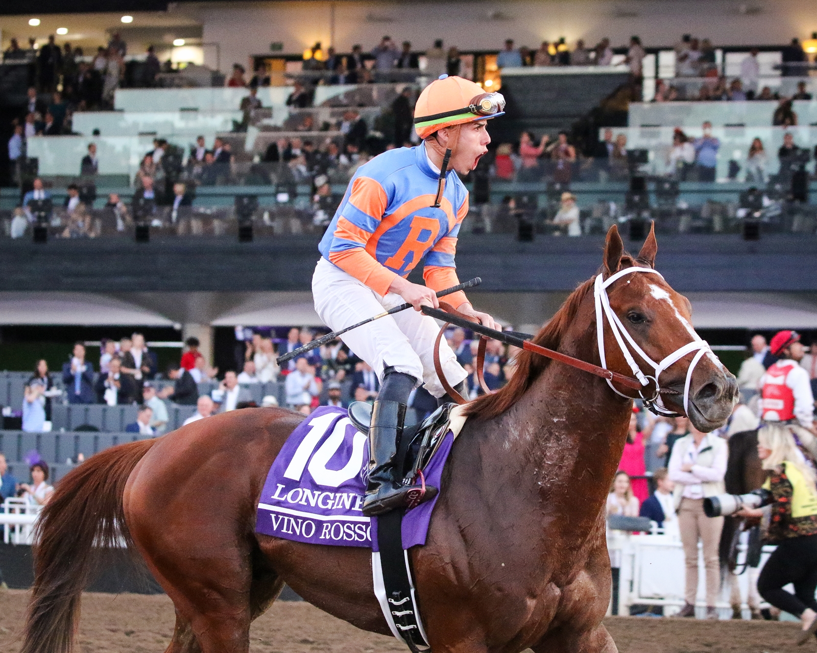 2019 Breeders Cup Saturday Slideshow BloodHorse