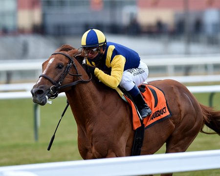 Sadler's Joy wins the 2019 Red Smith Stakes at Aqueduct Racetrack