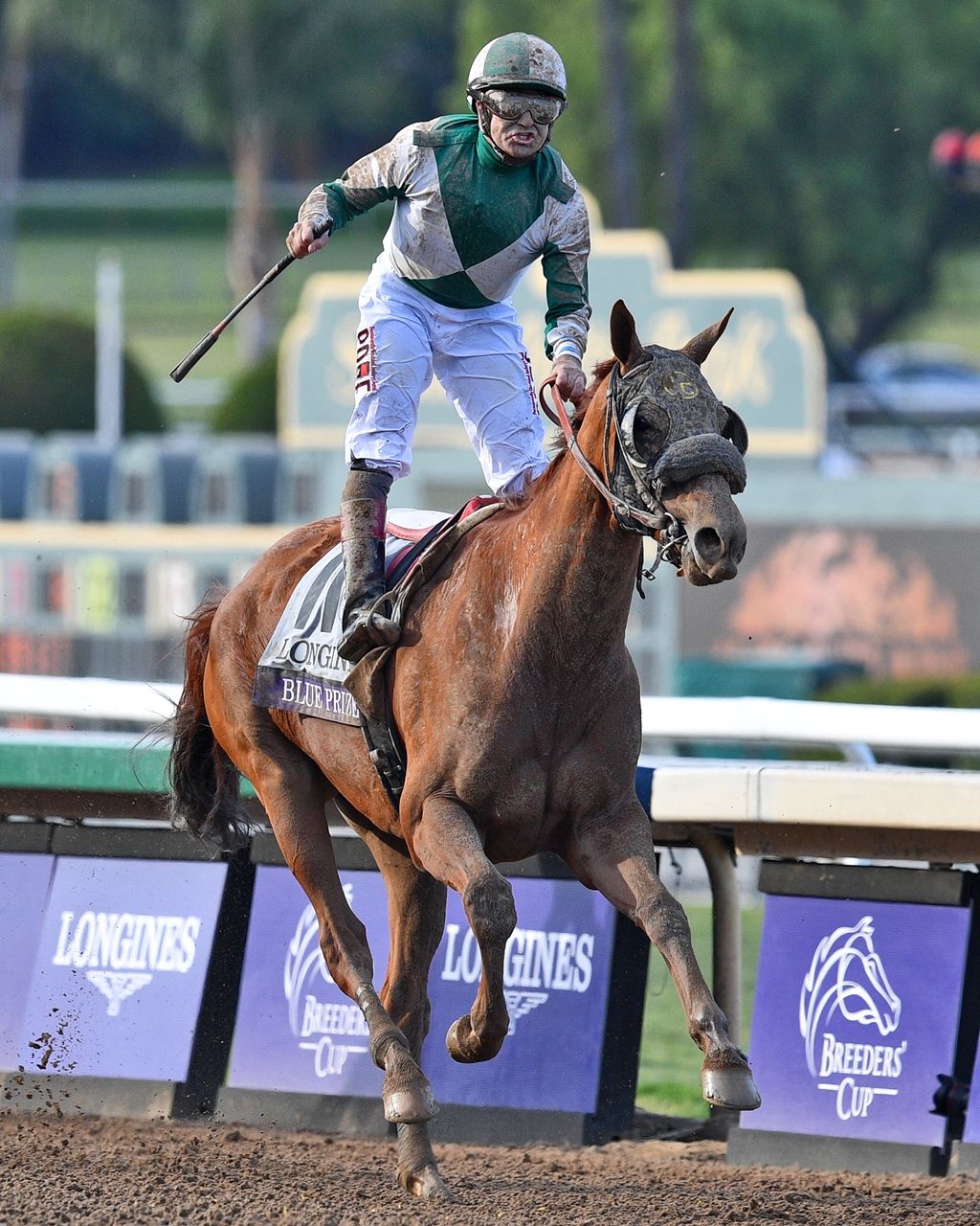 2019 Breeders Cup Saturday Slideshow BloodHorse