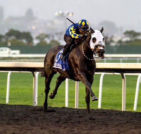 Muncharaz Racing Mugaritz Too Much for Southern Invaders in Berkeley - BloodHorse
