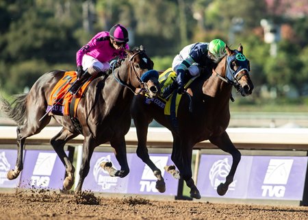 Storm the Court wins the 2019 Breeders' Cup Juvenile at Santa Anita Park