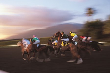 Horses break from the gate at Santa Anita Park