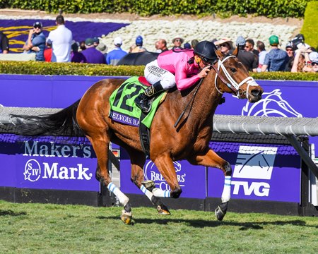 A close relation to Belvoir Bay, shown here winning the 2019 Breeders' Cup Turf Sprint at Santa Anita Park, is one of the highlights in the Tattersalls Online Breeze Up catalog