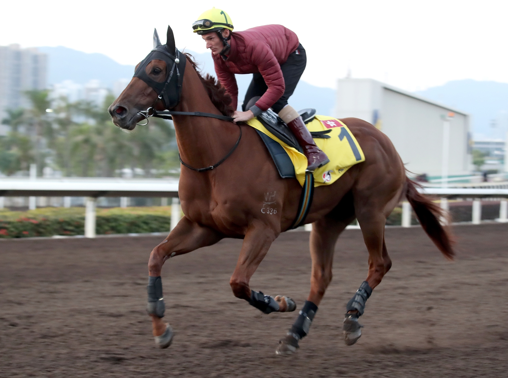 Aethero Faces Mr Stunning D B Pin in Hong Kong Sprint BloodHorse