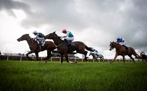 Hri Outlines Plans For All Weather Track At Tipperary Bloodhorse