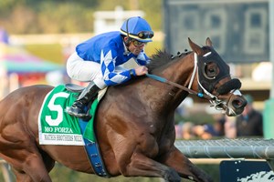 Paradise Woods Arrogate Get To Work At Santa Anita