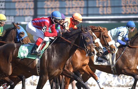2023 Aqueduct Winter Meet Stakes Schedule Announced BloodHorse