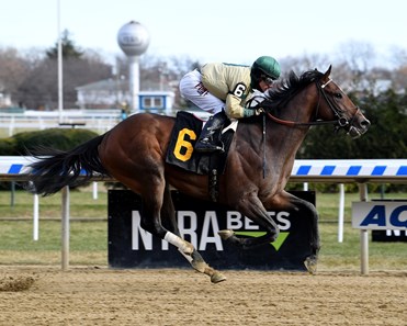 Moon Over Miami Horse Profile Bloodhorse