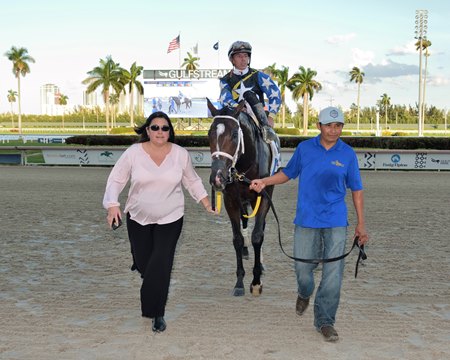 2020 fountain of youth stakes replay 2020 fountain of youth stakes replay