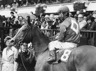Genuine Risk: Derby Winning Filly - Slideshow - BloodHorse