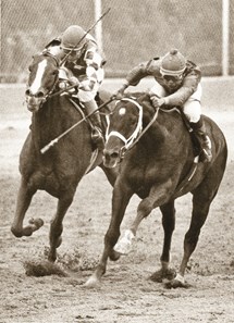 Genuine Risk: Derby Winning Filly - Slideshow - BloodHorse