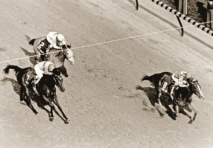Genuine Risk: Derby Winning Filly - Slideshow - BloodHorse