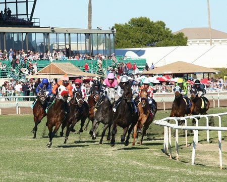 Horses race at Turf Paradise