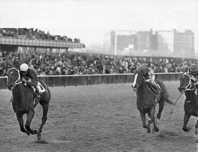 Genuine Risk: Derby Winning Filly - Slideshow - BloodHorse