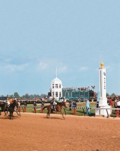 Genuine Risk: Derby Winning Filly - Slideshow - BloodHorse