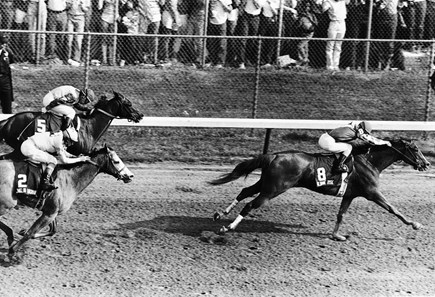 Genuine Risk: Derby Winning Filly - Slideshow - BloodHorse
