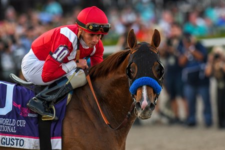 Pegasus gulfstream 2020 entries Pegasus gulfstream 2020 entries