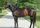 Cloud Computing at Spendthrift Farm