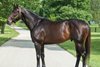 Cloud Computing at Spendthrift Farm