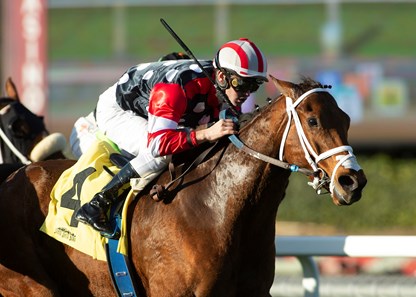 Texas Wedge - Horse Profile - BloodHorse