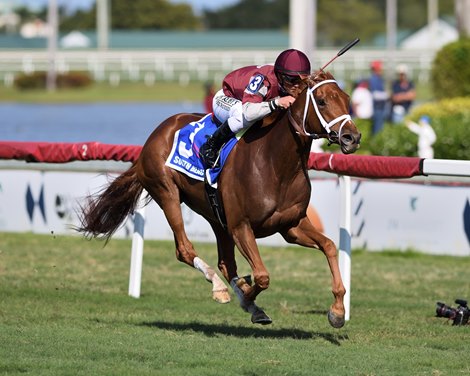 Atomic Blonde Blows Away Competition In South Beach Bloodhorse