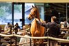 Scenes at the CTBA January Mixed Sale, Pomona, CA 1.7.20.