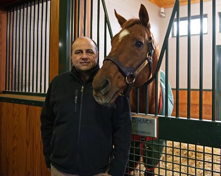 Bedrock Sire Distorted Humor Thriving at WinStar - BloodHorse