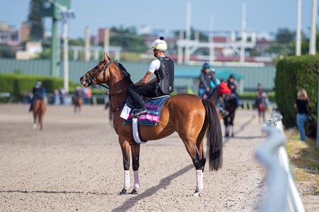 World's top-rated horse, Equinox, wins in Japan as Royal Ascot wraps up in  England 