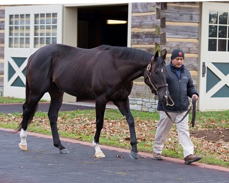 Lucky Guess Becomes First Winner for Sharp Azteca - BloodHorse