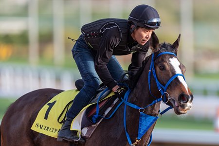 Deirdre trains at King Abdulaziz Racetrack