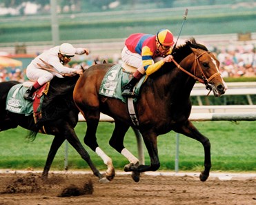 A.P. Indy: A Photographic Tribute - Slideshow - BloodHorse