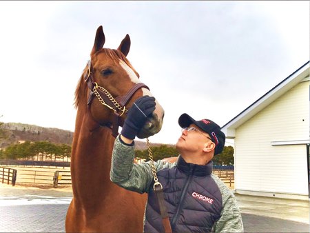Two mares will be offered in foal to Arrow Stud stallion California Chrome 