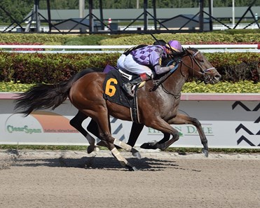 Mister Candy Ride - Horse Profile - BloodHorse