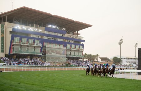 Horses race into the turn on the King Abdulaziz Racetrack turf course