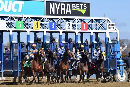 Racing at Aqueduct Racetrack