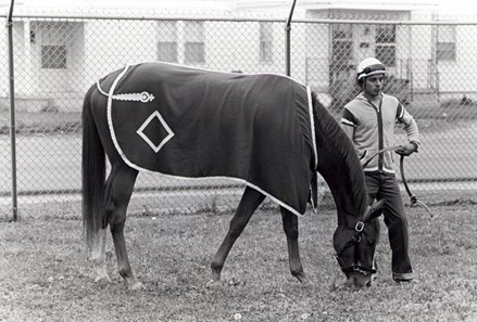 Genuine Risk: Derby Winning Filly - Slideshow - BloodHorse