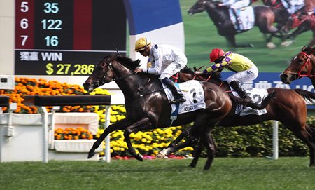 Horse Racing 2020 2021 In Hong Kong Dates Map