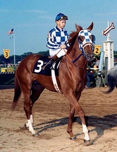 Secretariat - Slideshow - BloodHorse