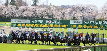 Racing at Nakayama Racecourse