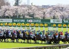 2020 Racing Scene at Nakayama Racecourse