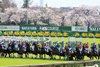 2020 Racing Scene at Nakayama Racecourse