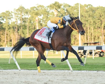 King Guillermo captures the Tampa Bay Derby at Tampa Bay Downs