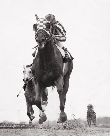 Secretariat Shows New Trick in Gotham Stretch-Out - BloodHorse