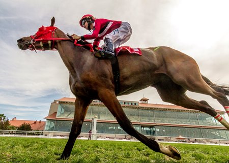 2019 louisiana derby you tibe