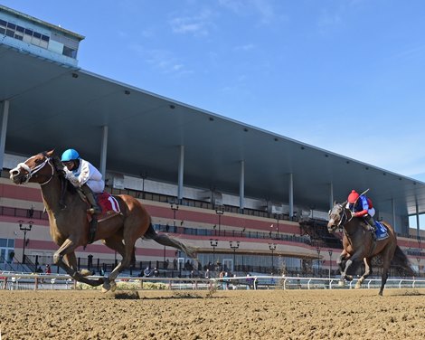 Aqueduct Spring Meet Features 13 Stakes Worth .8M