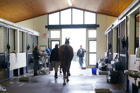 Hagyard Equine Medical Institute