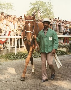 Eddie Sweat and Secretariat in the paddock before the 1973 Belmont Stakes at Belmont Park
